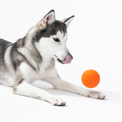 WREE® Gravity Bounce Ball