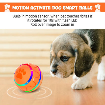 WREE® Gravity Bounce Ball