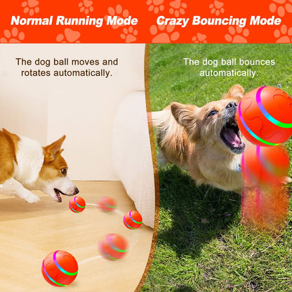 WREE® Gravity Bounce Ball