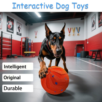 WREE® Gravity Bounce Ball